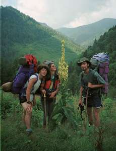 Leszek, Wiola, Dziewanna, Megi