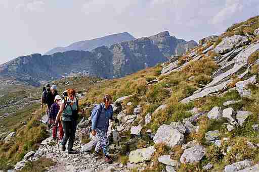 C�rja i Stoini�a