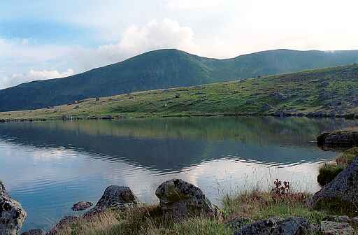 T�ul Lucios i vf. Seiu